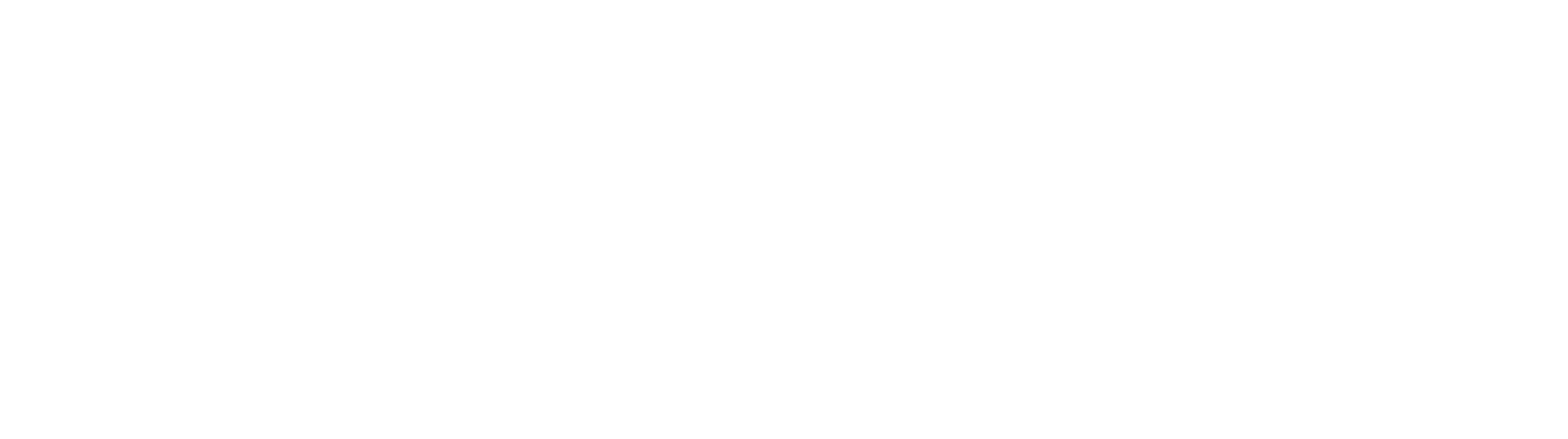 Logo: Niveton